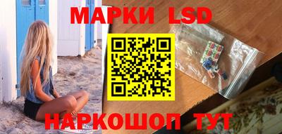 прущие грибы Краснознаменск